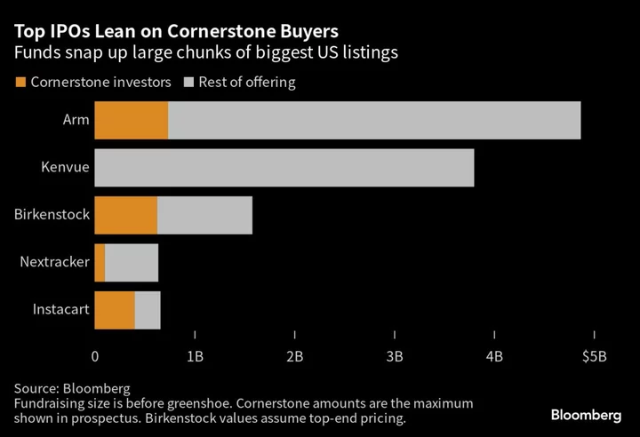 World’s Biggest Sovereign Fund Buoys Recovery in US IPOs