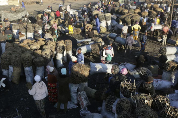 Debt-plagued Zambia reaches deal with China, other nations to rework $6.3B in loans, French say