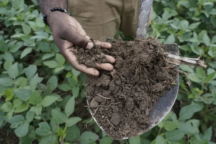 Farm fields don't just feed us. They store carbon. But a big question is how much