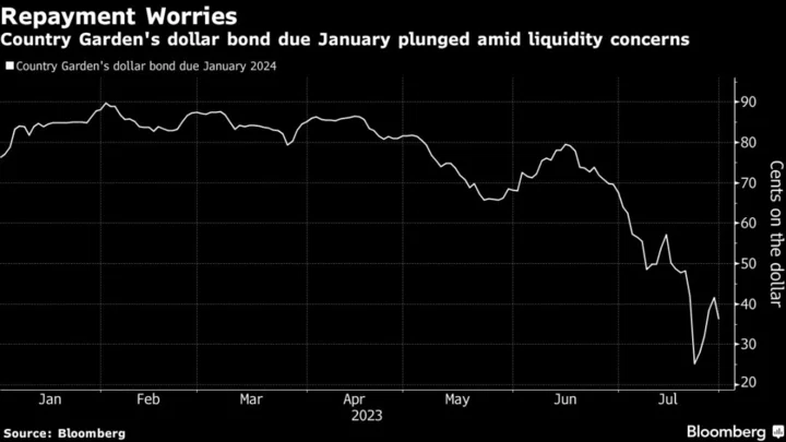 Country Garden Faces $2.9 Billion of Bond Payments as Woes Mount