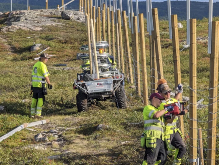 Norway rebuilding reindeer fence along border with Russia to stop costly hooves' crossings