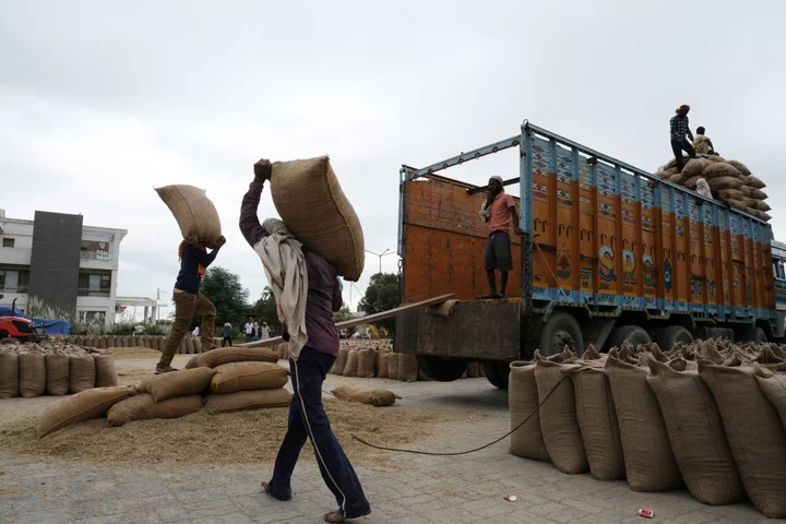 High Rice Prices Bring Risk of Social Unrest, UN Says