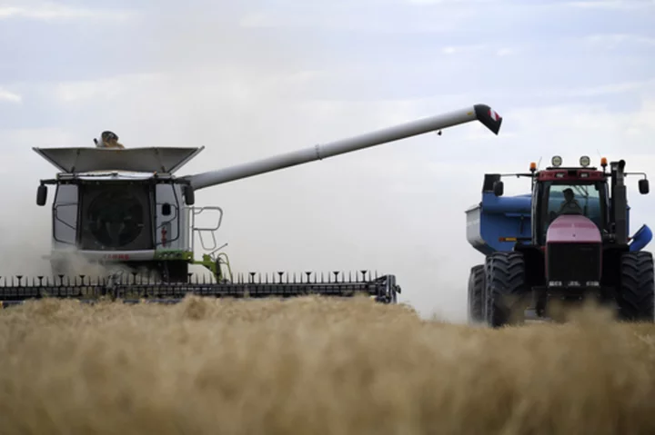 China reopens trade in Australian barley in a new sign of improved relations