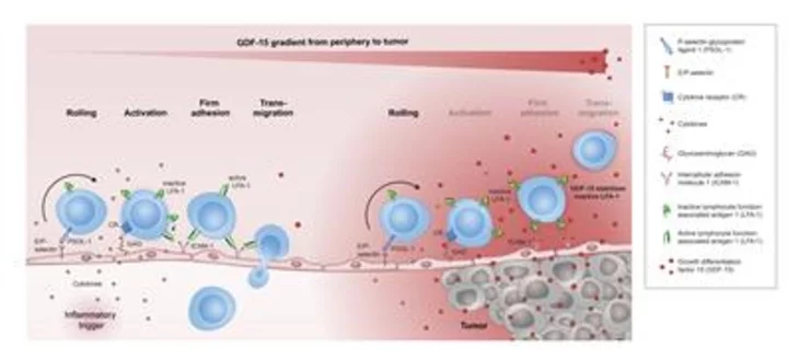 CatalYm Publishes Data in Nature Communications Describing GDF-15 as a Central Factor of anti-PD-1 Resistance