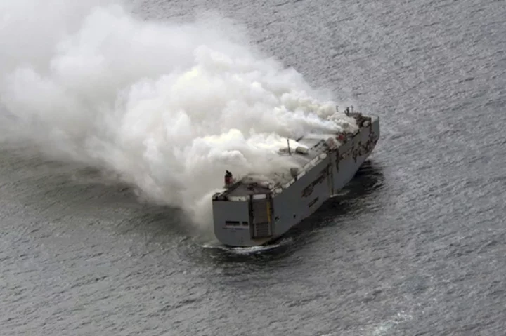 A fire is still burning on board a car-carrying cargo ship near a sensitive Dutch bird habitat