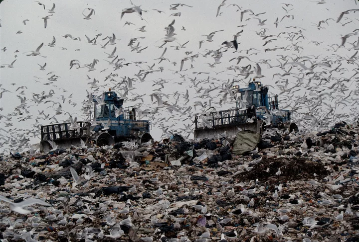 How New York City Turned the World’s Biggest Garbage Dump Into a Park