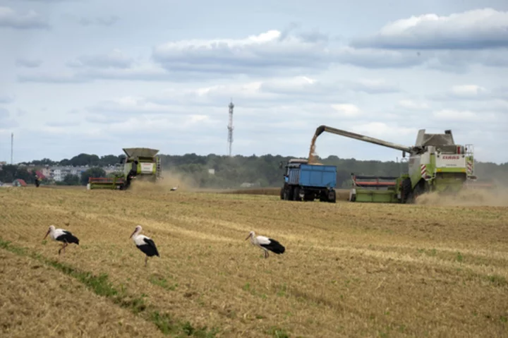 Russia halts wartime deal allowing Ukraine to ship grain. It's a blow to global food security