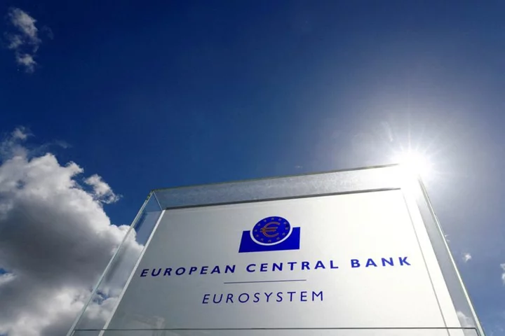 ECB raises key rate to historic high, keeps options open