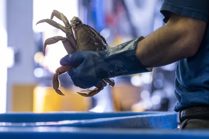 Singapore Crab Restaurateur Charged With Share Price Rigging, Straits Times Reports