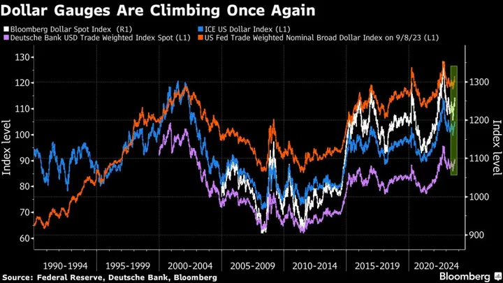 Dollar Rally Is Crushing One of the Most Popular Trades of 2023