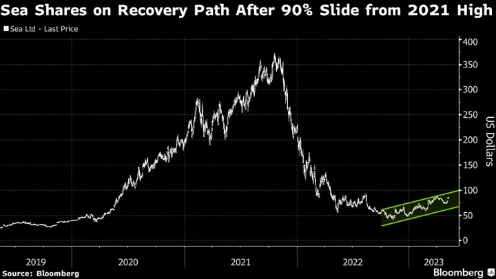 Sea Slumps as Profit Miss Suggests Turnaround Still Fragile