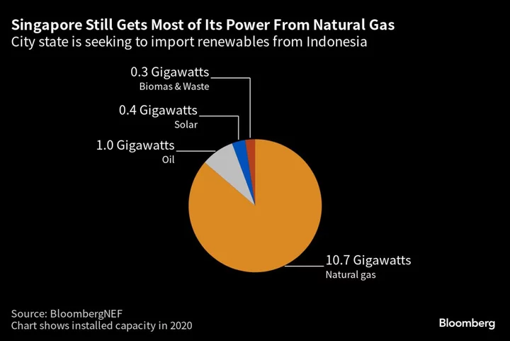 Singapore Renewable Developer Seeks Partners for Massive Battery