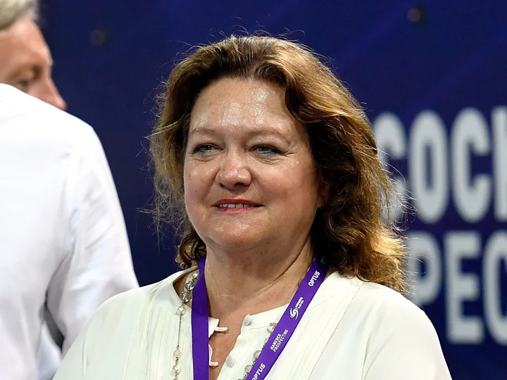 Australian Tycoon Rinehart Increases Stake in Liontown to 19.9%