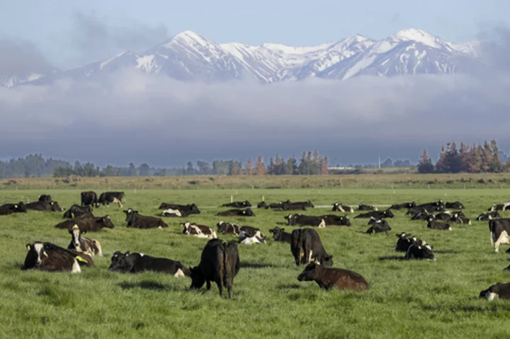 New Zealand economy to remain sluggish for 2 years, although doing better than feared, figures show