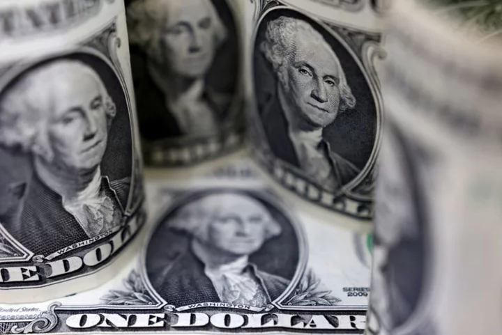 Dollar steadies, Aussie slips as RBA looms