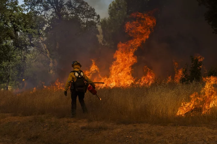 ‘Risky in California’ Spurs Push for Home-Insurance Overhaul