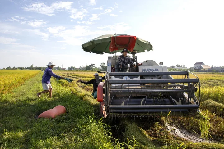 Vietnam Orders Food Security to Be Ensured, Rice Supply Boosted