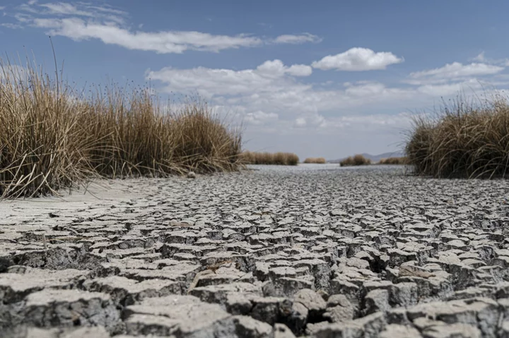 ‘No One Is Safe From Climate Change’ After Hottest 12 Months Ever Recorded