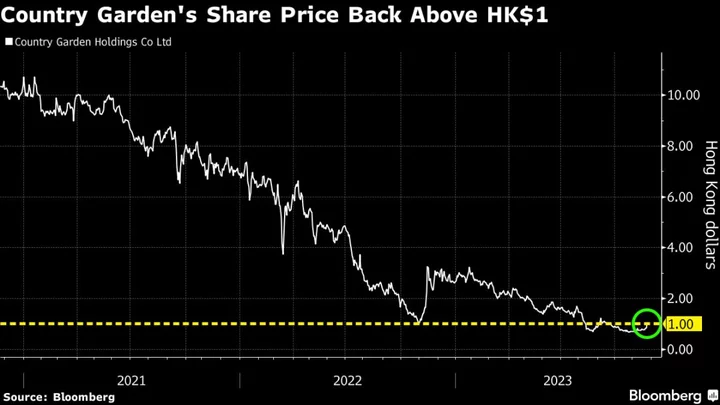 Country Garden Shrugs Off Penny Stock Label Amid Sector Support