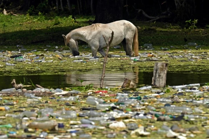 Coming years 'critical' to slash plastic pollution: UN