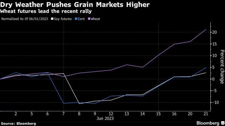 US Corn Crop Withers to Worst Conditions Since 1992, Driving Prices Higher