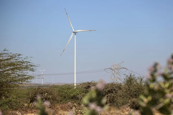 Vestas Needs More Time to Clear Wind Turbine Backlog, CEO Says