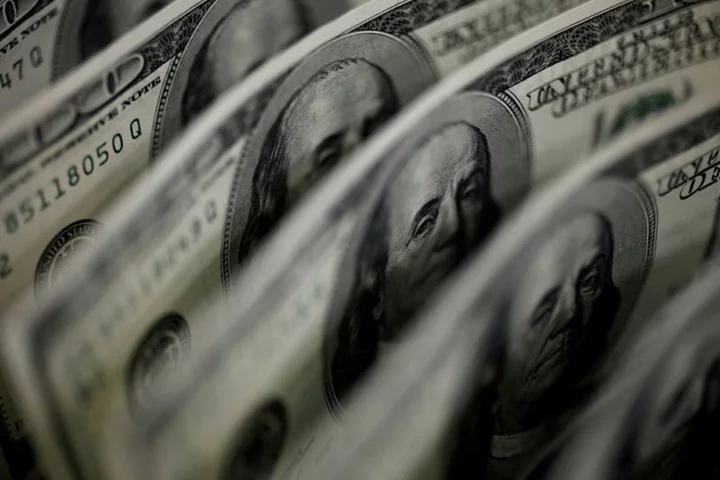 Dollar softens, China's yuan draws support from stimulus hopes